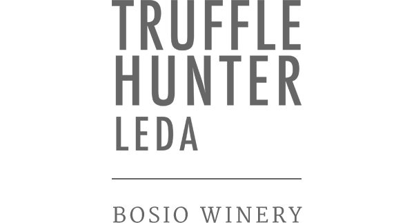 logo Trufflehunterwines